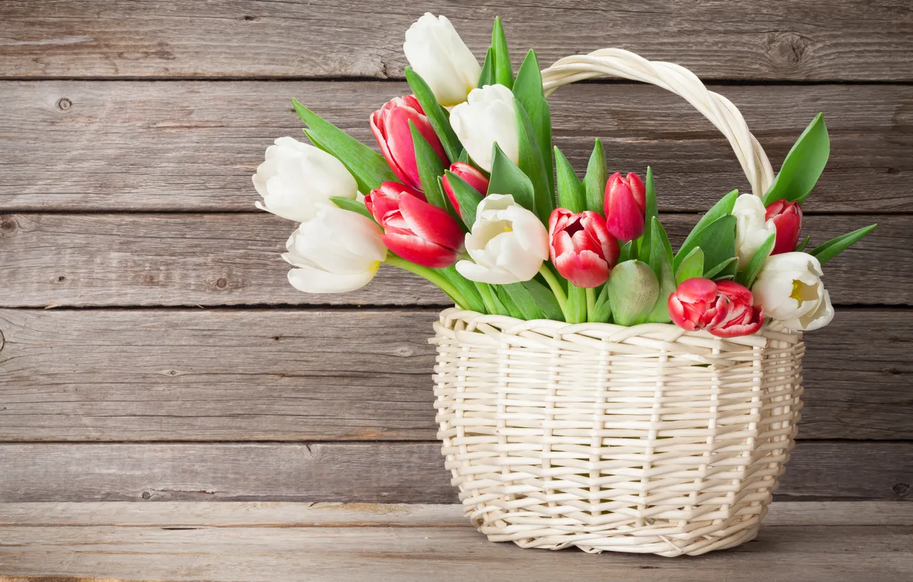 Фото обои цветы, букет, тюльпаны, red, white, wood, flowers, tulips