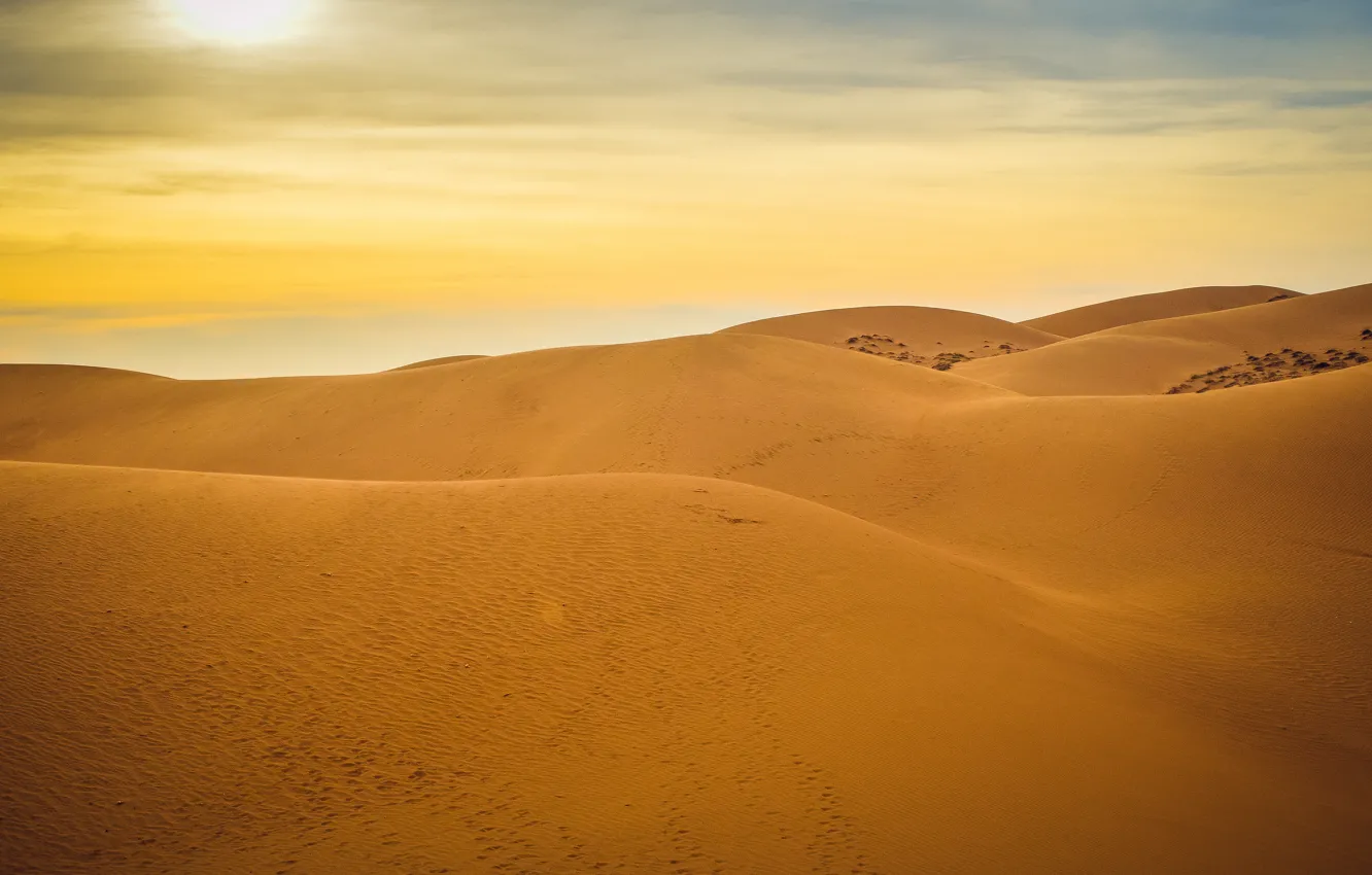 Фото обои песок, солнце, закат, отдых, пустыня, desert, sunset, sun