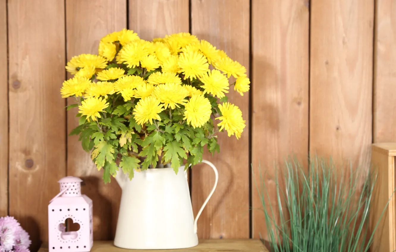 Фото обои цветы, букет, желтые, кувшин, хризантемы, flowers, lantern