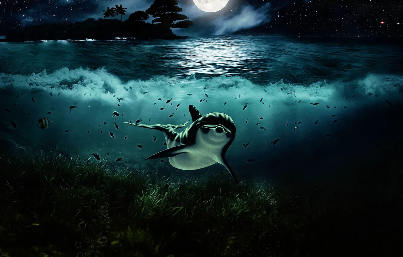 Фото обои Вода, Ночь, Взгляд, Луна, Дельфин, Арт, Подводный мир, Водоросли