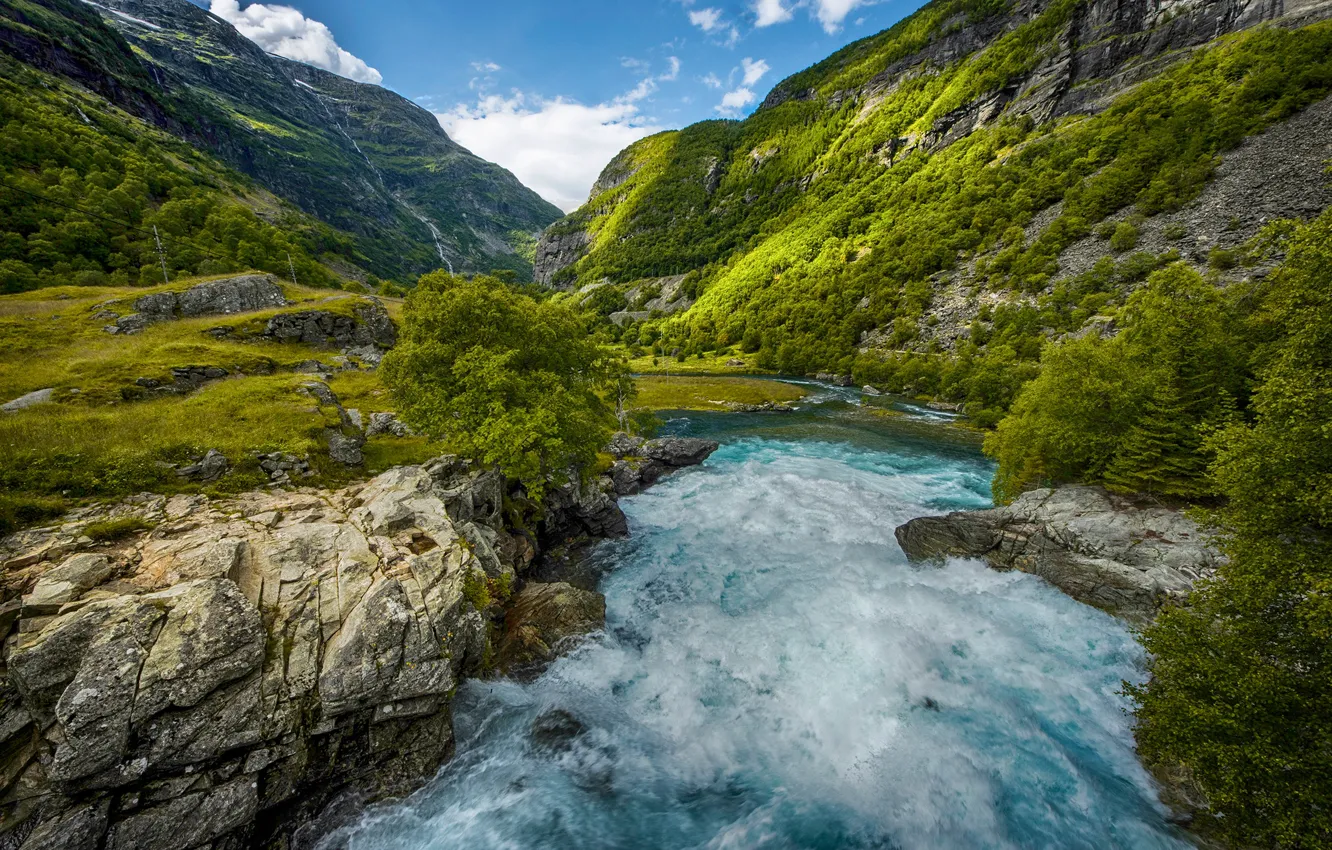 Фото обои деревья, горы, река, камни, течение, Норвегия, ущелье, Sogn og Fjordane