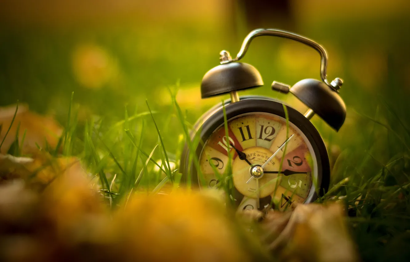 Фото обои трава, листья, часы, будильник, винтаж