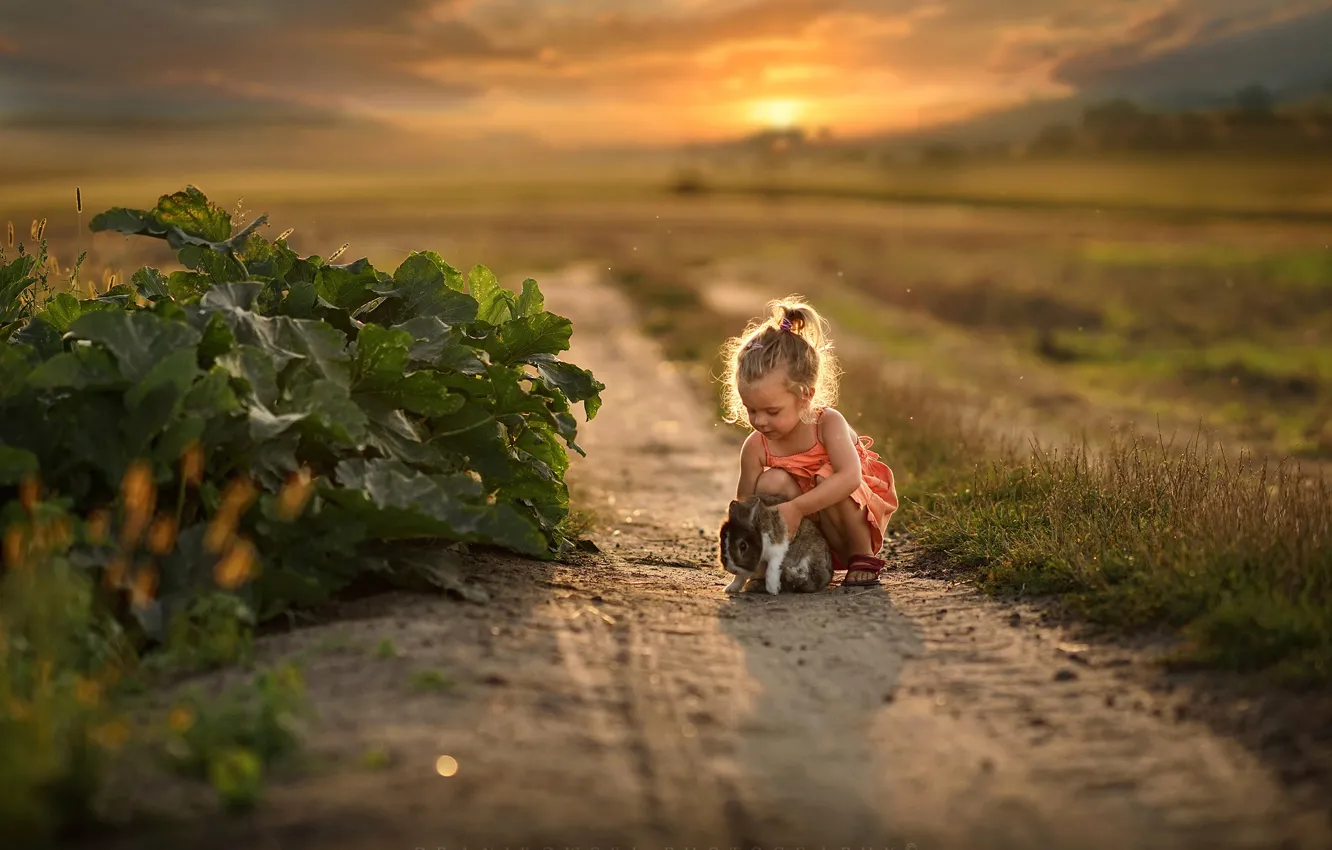 Фото обои закат, фото, кролик, девочка, Dranikowski