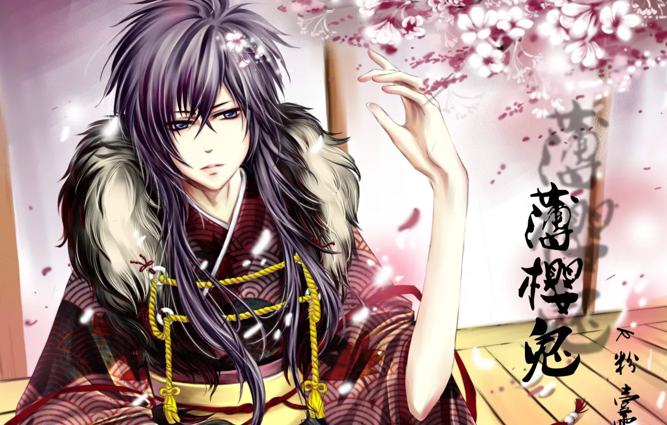 Фото обои цветы, сакура, самурай, иероглифы, парень, Hakuouki, Saitou Hajime, демоны бледной сакуры