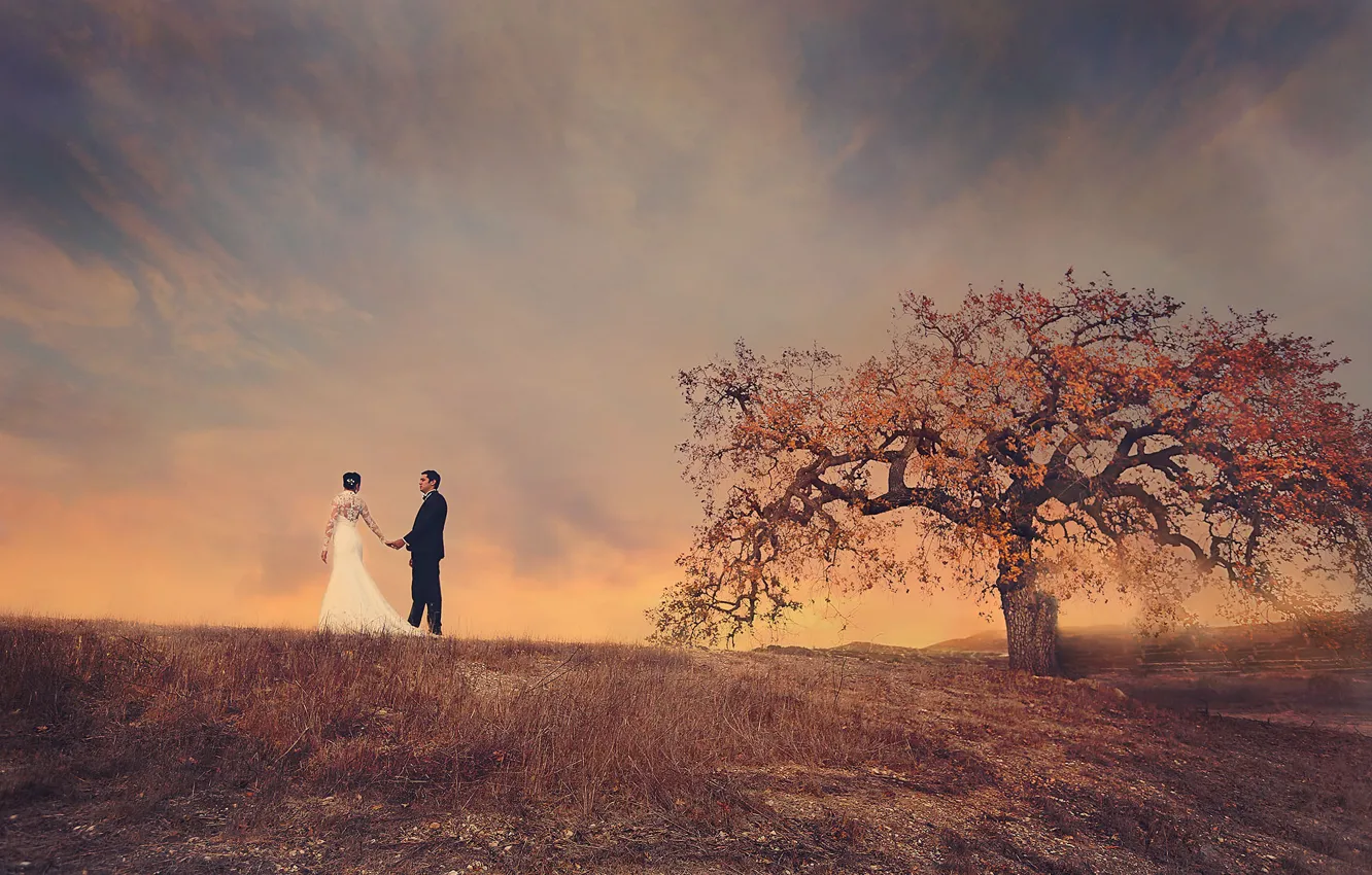 Фото обои поле, небо, дерево, пара, невеста, жених, свадебное платье