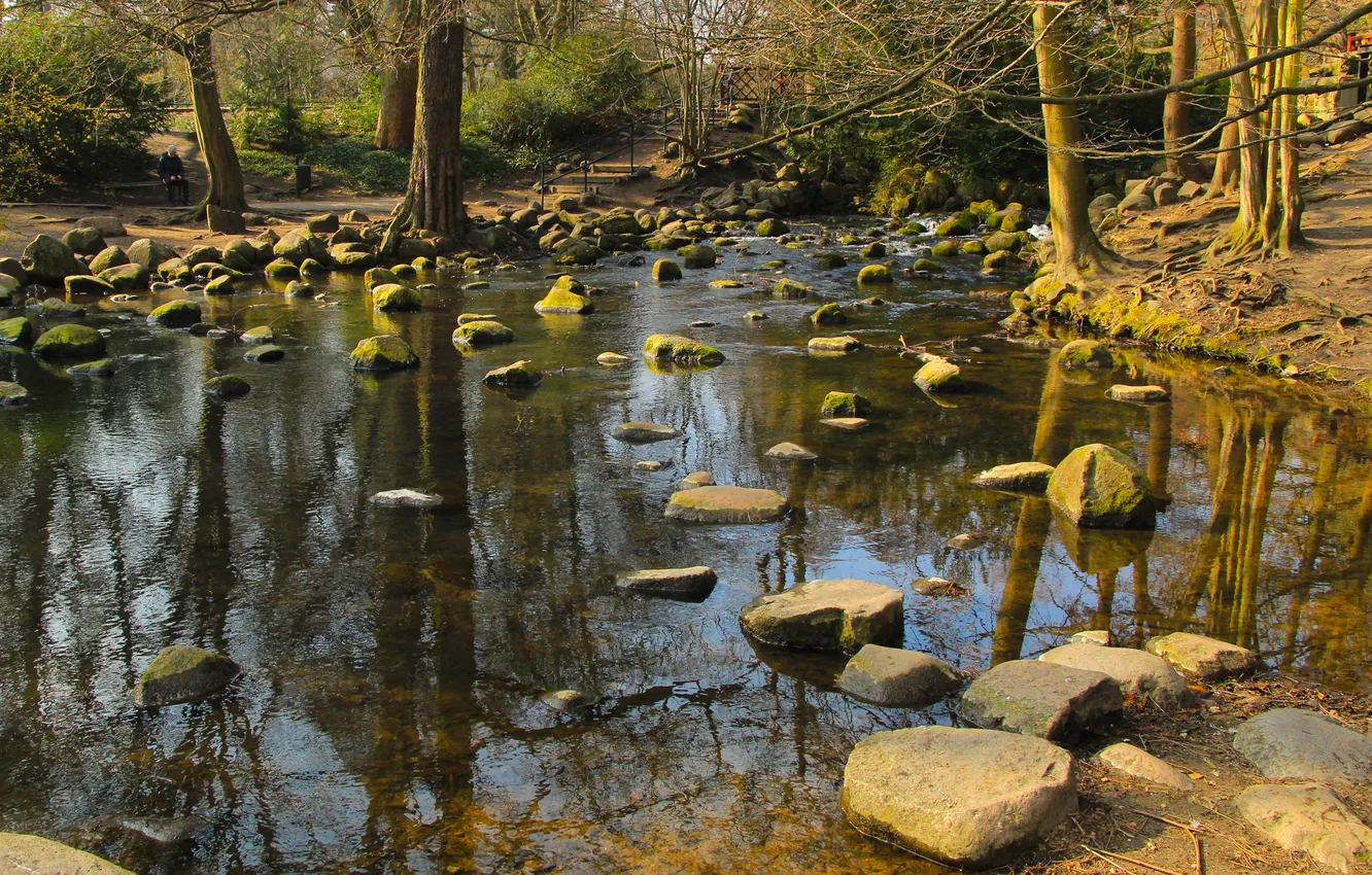Фото обои river, water, park, stones