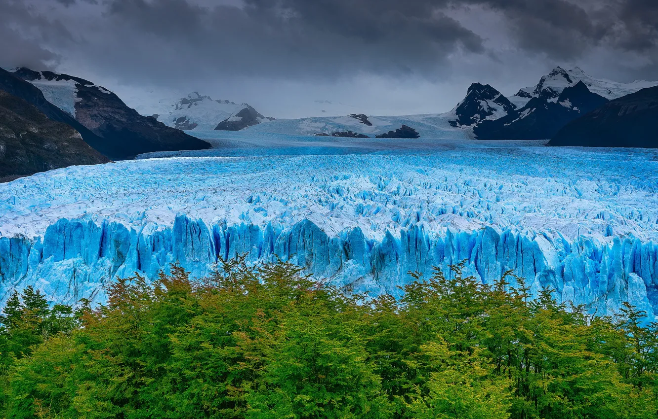 Фото обои деревья, горы, ледник, Аргентина, Санта-Крус
