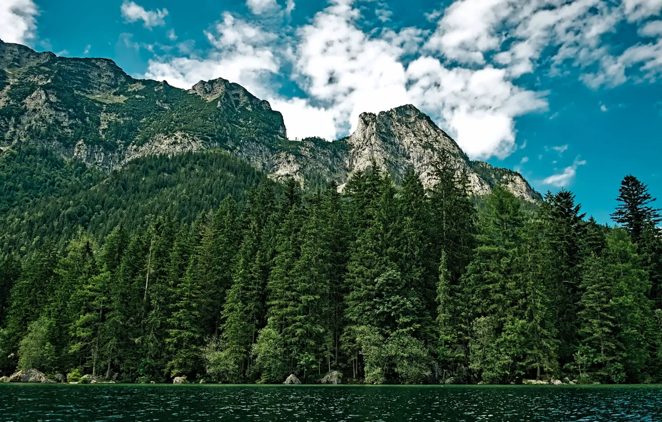 Фото обои лес, облака, деревья, горы, озеро, камни, Вашингтон, США