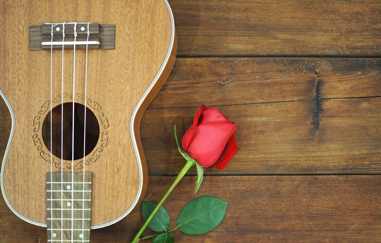 Фото обои цветок, роза, гитара, Музыка
