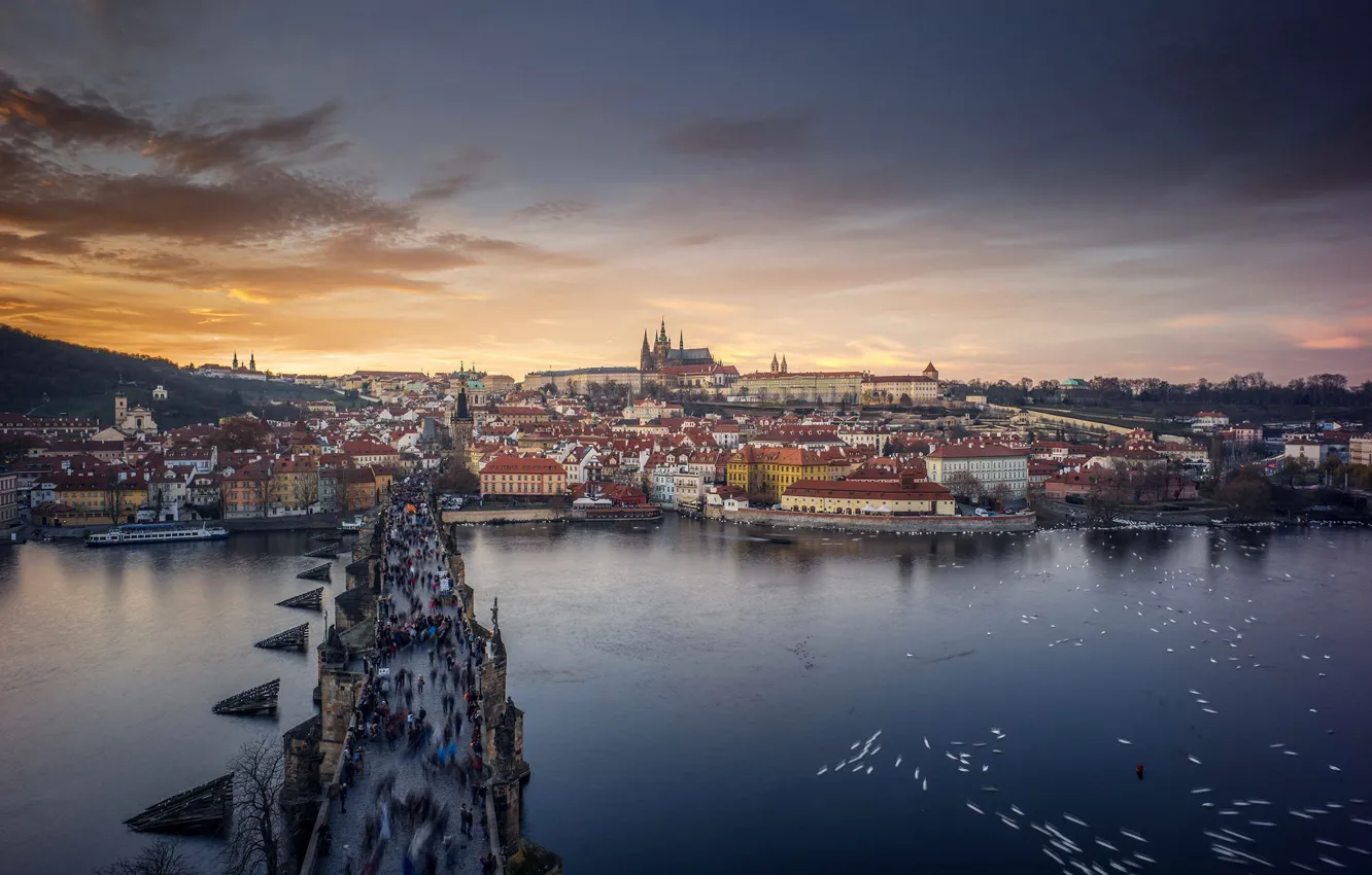 Фото обои река, Прага, Чехия, Влтава, Карлов мост, Собор Святого Вита