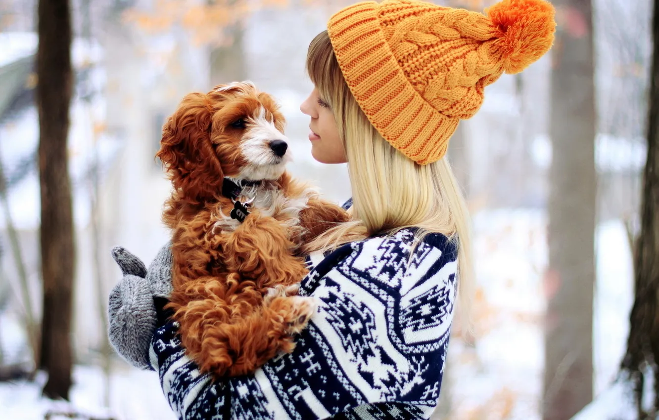 Фото обои Girl, hat, dog, winter, snow, gloves
