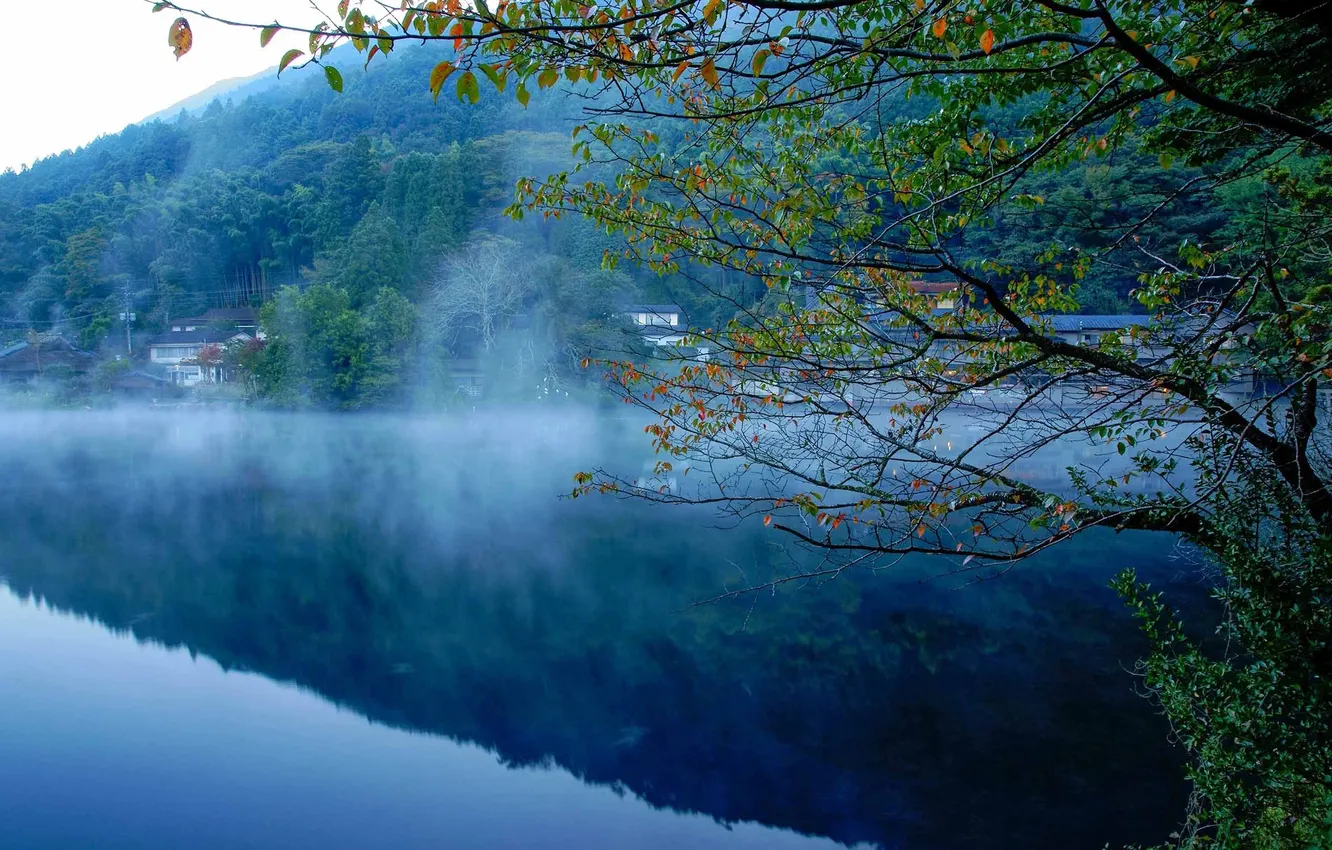 Фото обои лес, туман, река, дома, Природа