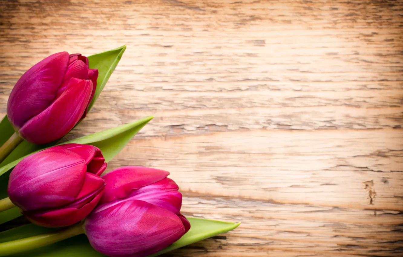 Фото обои цветы, букет, fresh, wood, pink, flowers, beautiful, tulips