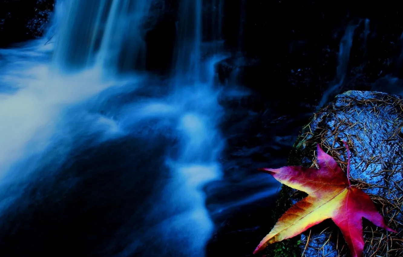 Фото обои осень, водопад, Лист