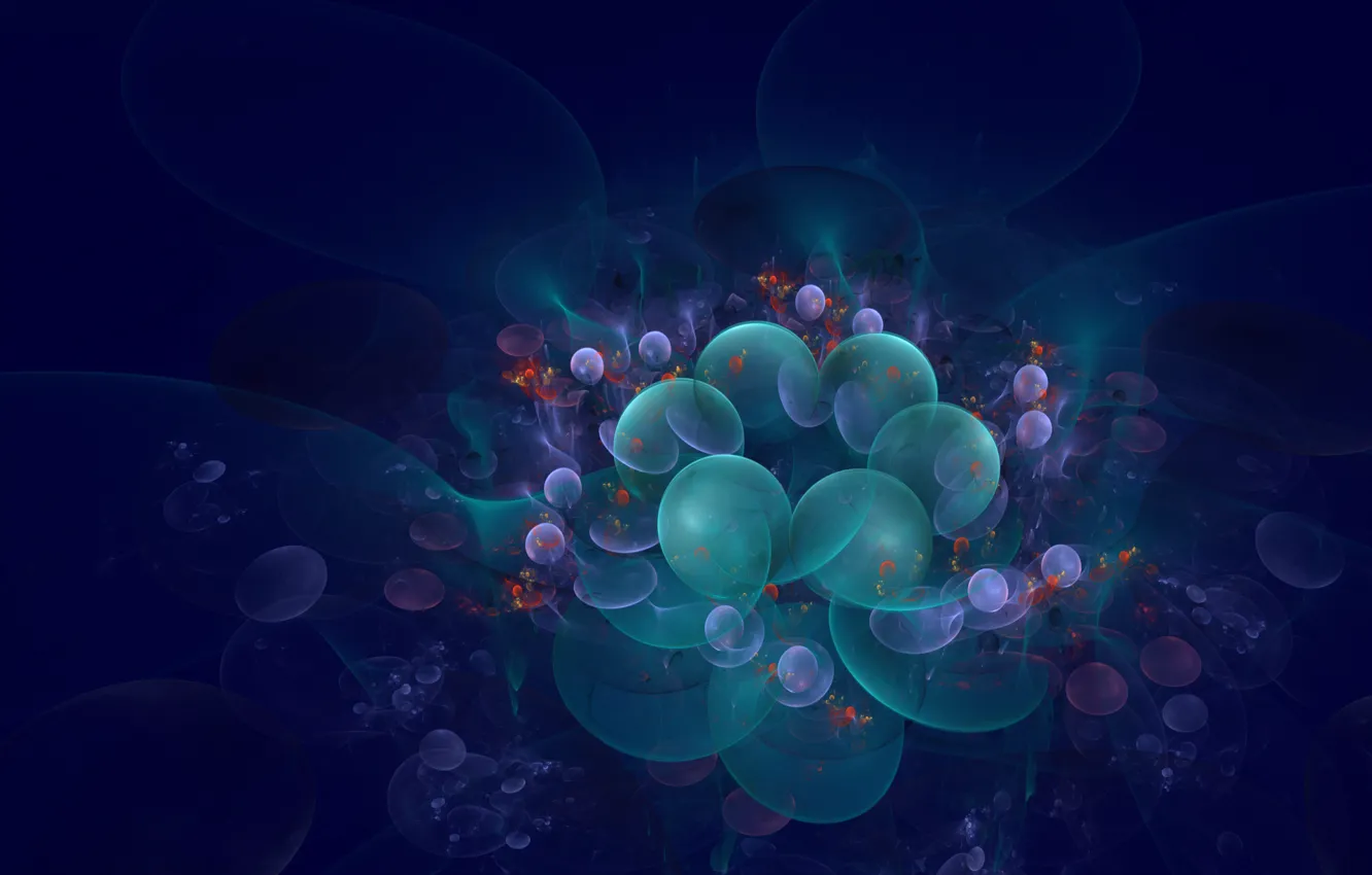 Фото обои цветы, узор, объем