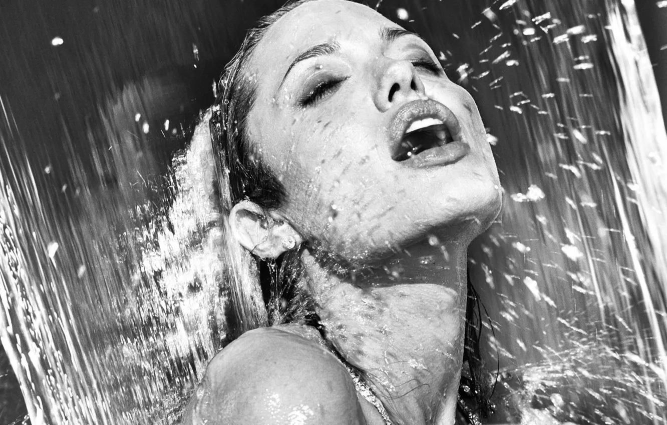 Фото обои actress, angelina jollie, famos