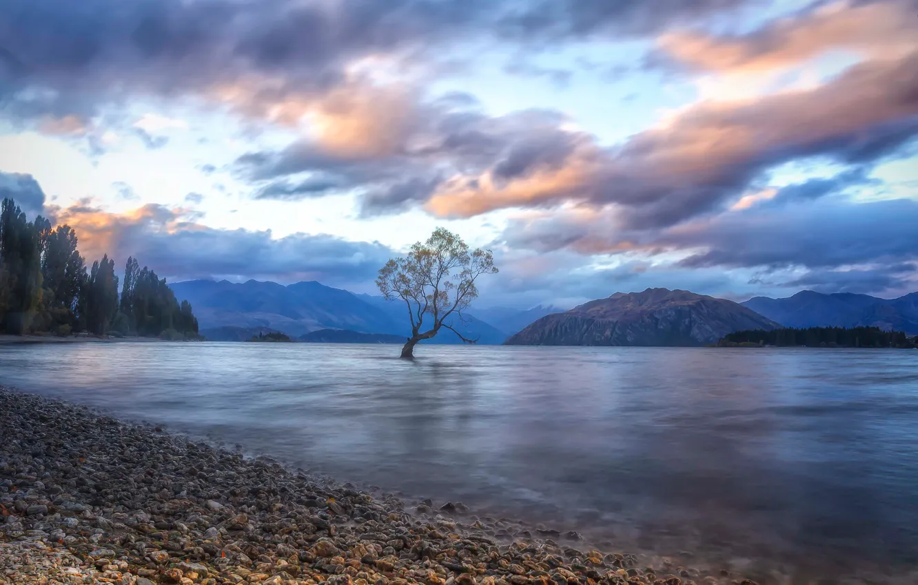 Фото обои облака, горы, озеро, дерево, Новая Зеландия, New Zealand, Lake Wanaka, Южные Альпы