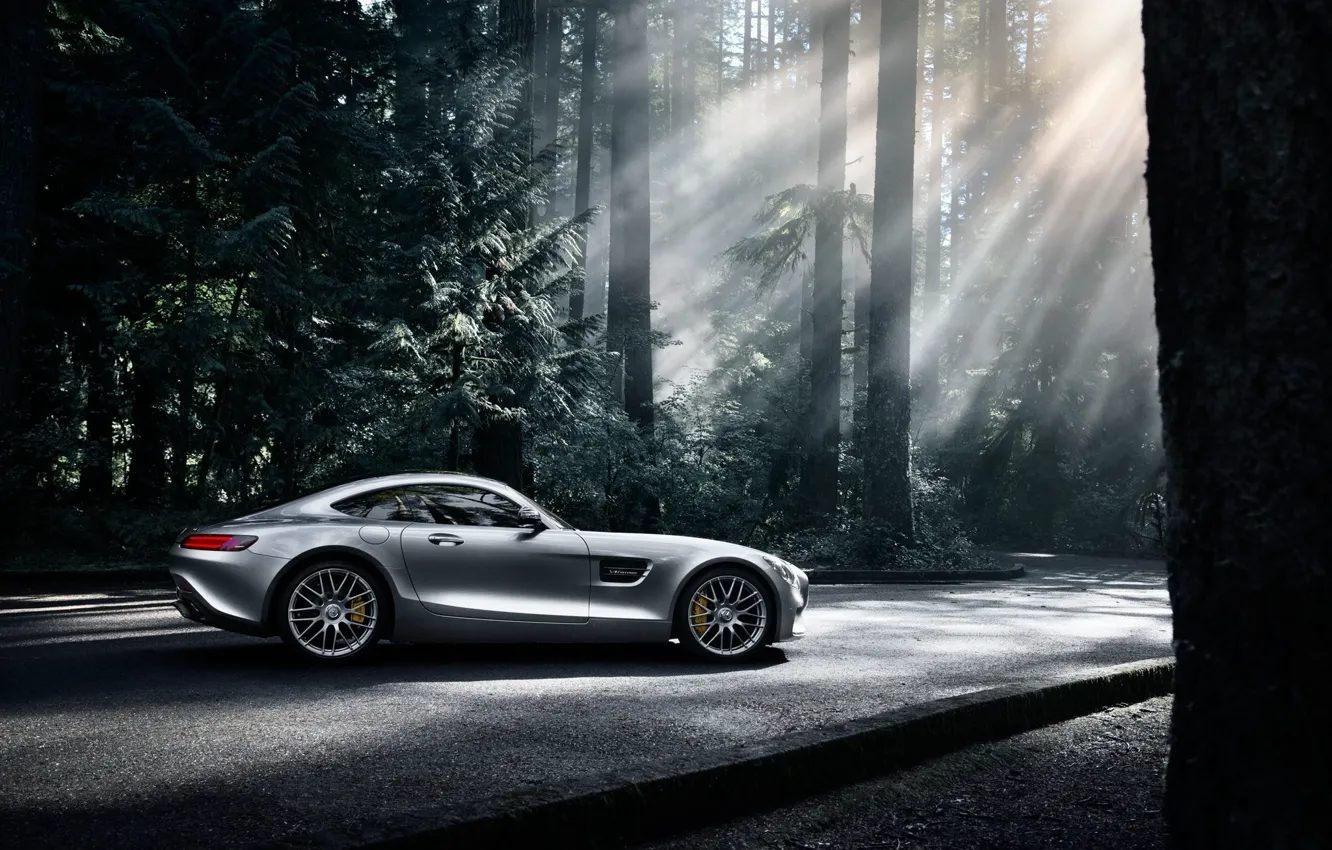 Фото обои Mercedes-Benz, Dark, AMG, Sun, Color, Side, Silver, Forest