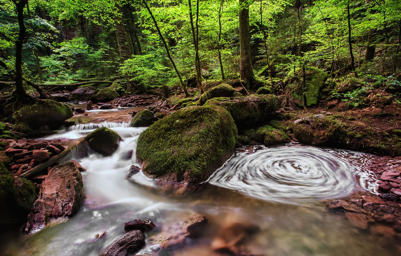 Фото обои лес, ручей, камни, Германия, Germany, Баден-Вюртемберг, Baden-Württemberg, река Монбах