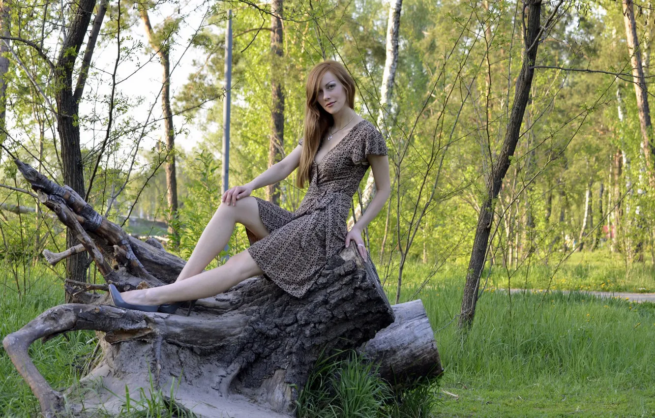 Фото обои ЛЕС, ВЗГЛЯД, ПРИРОДА, ШАТЕНКА, ПЕНЬ, САРАФАН