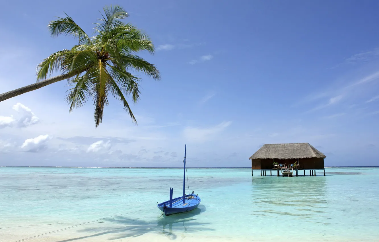 Фото обои пальма, океан, лодка, бунгало