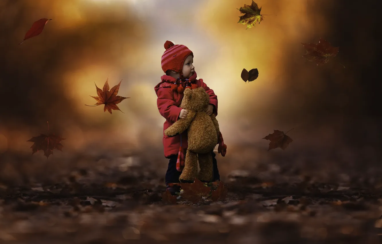 Фото обои Природа, Осень, Листья, Игрушка, Мишка, Девочка