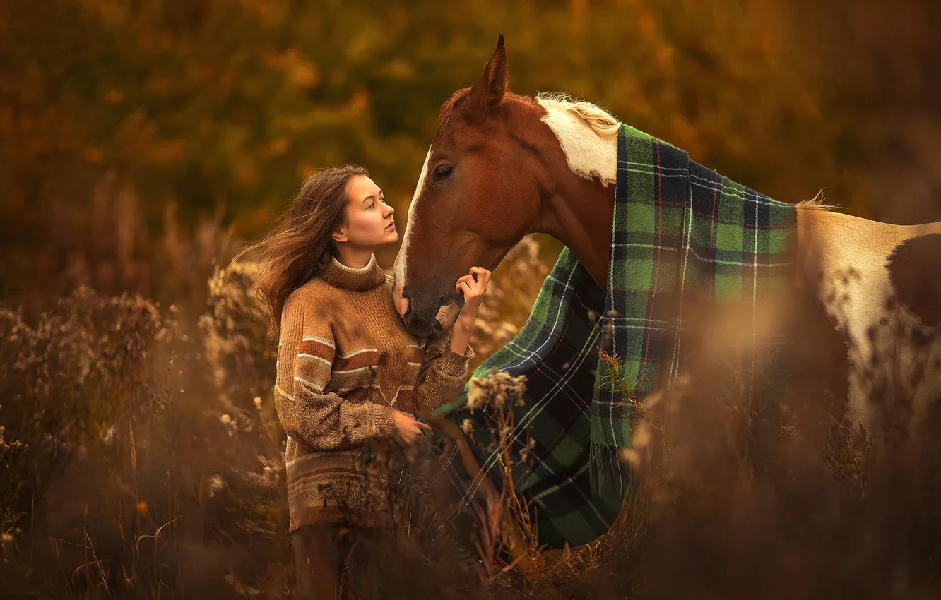 Фото обои девушка, любовь, тепло, конь, лошадь, покрывало, дружба, плед