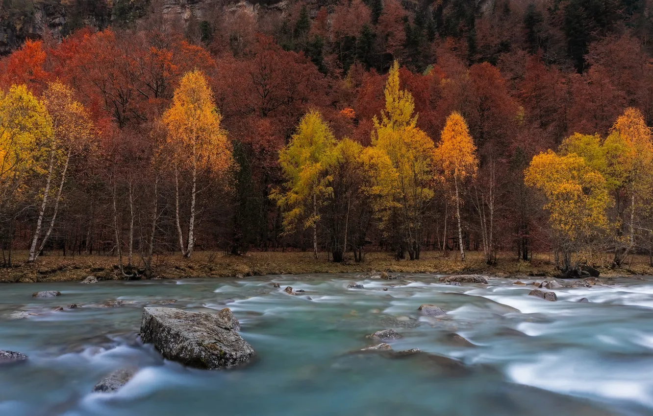 Фото обои Осень, Деревья, Река, Spain, Aragon, Huesca, Ордеса-и-Монте-Пердидо Park, Ordesa y Monte Perdido Park