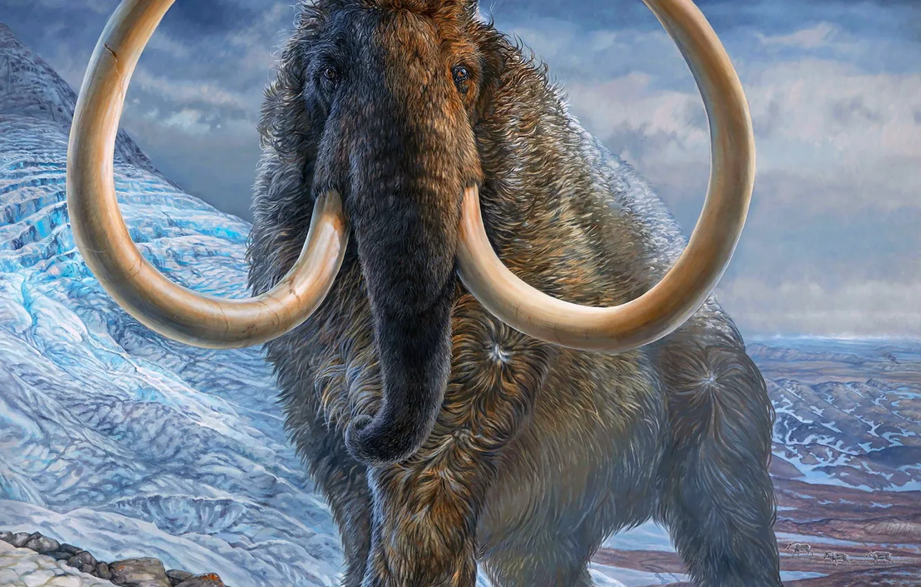 Фото обои Слон, Арт, Мамонт, Mammoth, Бивни, Древние животные, Вымершие животные