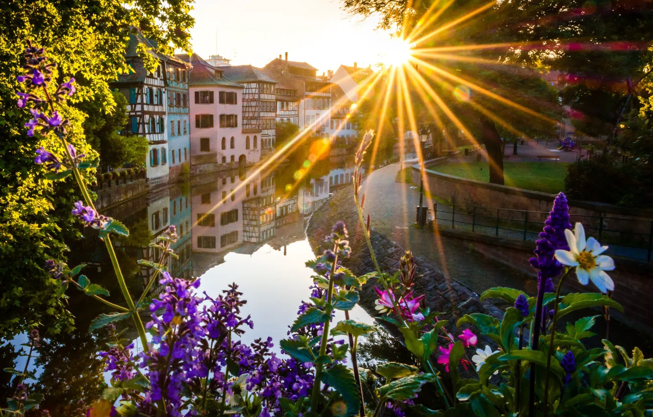 Фото обои вода, солнце, деревья, цветы, Франция, дома, Страсбург
