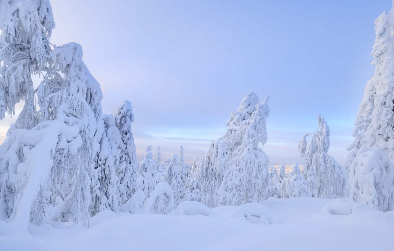 ледяной пейзаж. снежный мир. зимний дворец сказочный эльфийский. снежный мир. снежный мир.