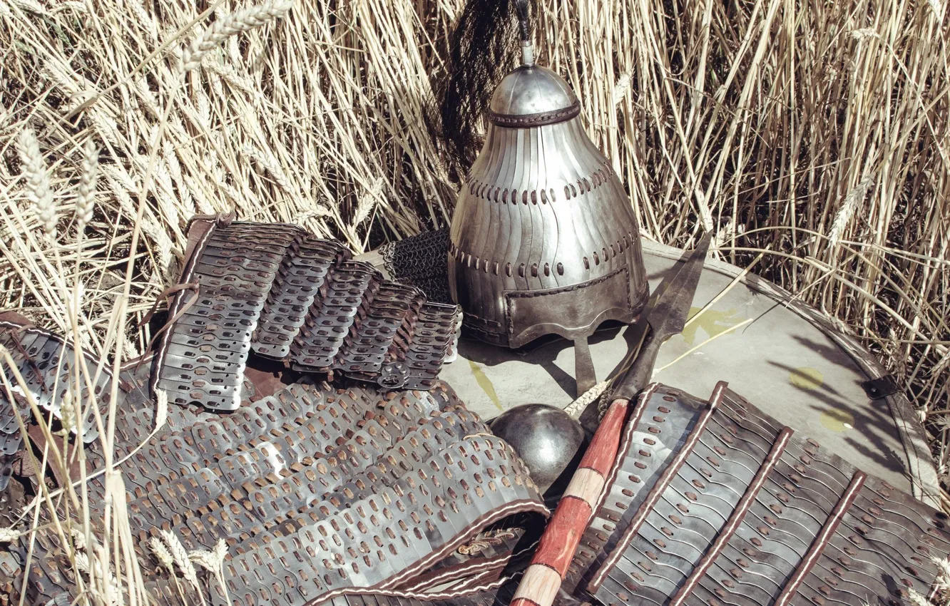Фото обои доспехи, шлем, копье, колосья, щит, shield, spear, Южная Германия