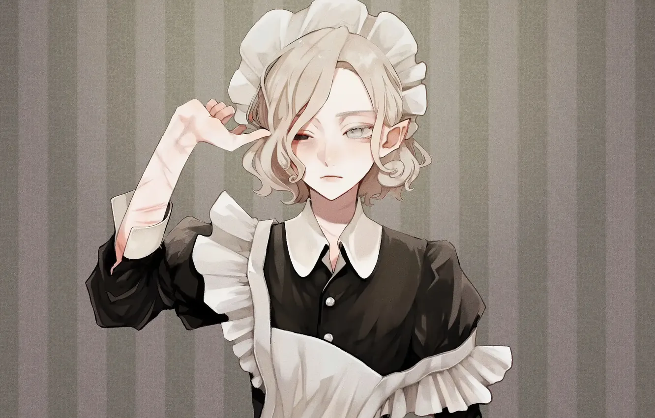 Фото обои Anime, горничная, maid, Trap, Dungeon Meshi, Mithrun