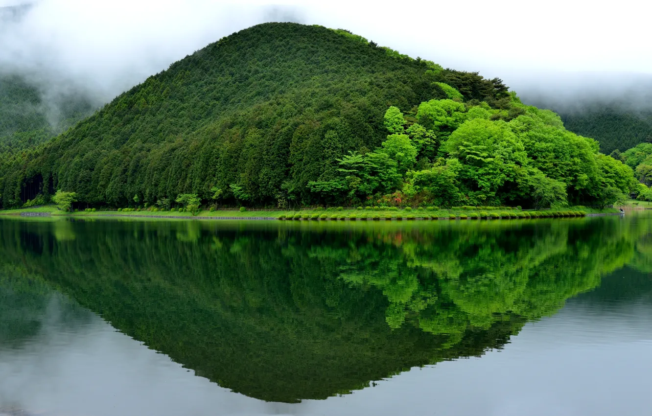 Фото обои зелень, пейзаж, отражение, япония, гора, Fujinomiya, Lake Tanuki