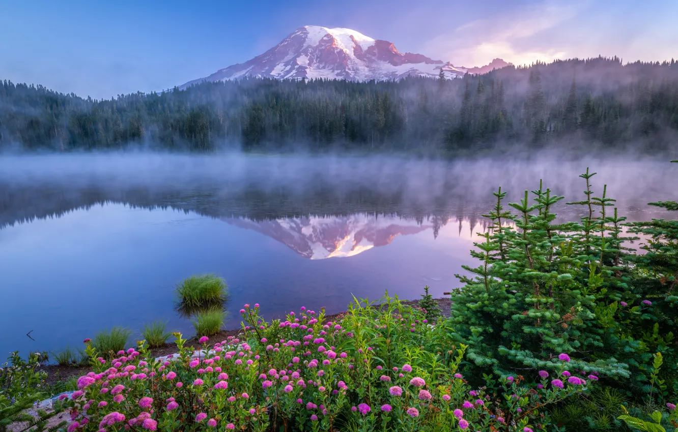 Фото обои лес, цветы, туман, озеро, отражение, рассвет, гора, утро