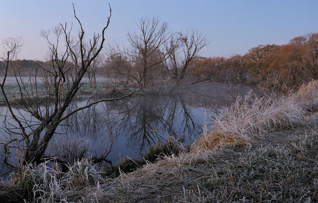 Фото обои зима, иней, пейзаж, река, утро