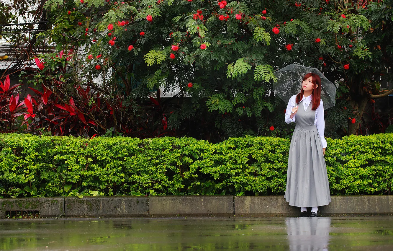 Фото обои девушка, зонтик, дождь, улица