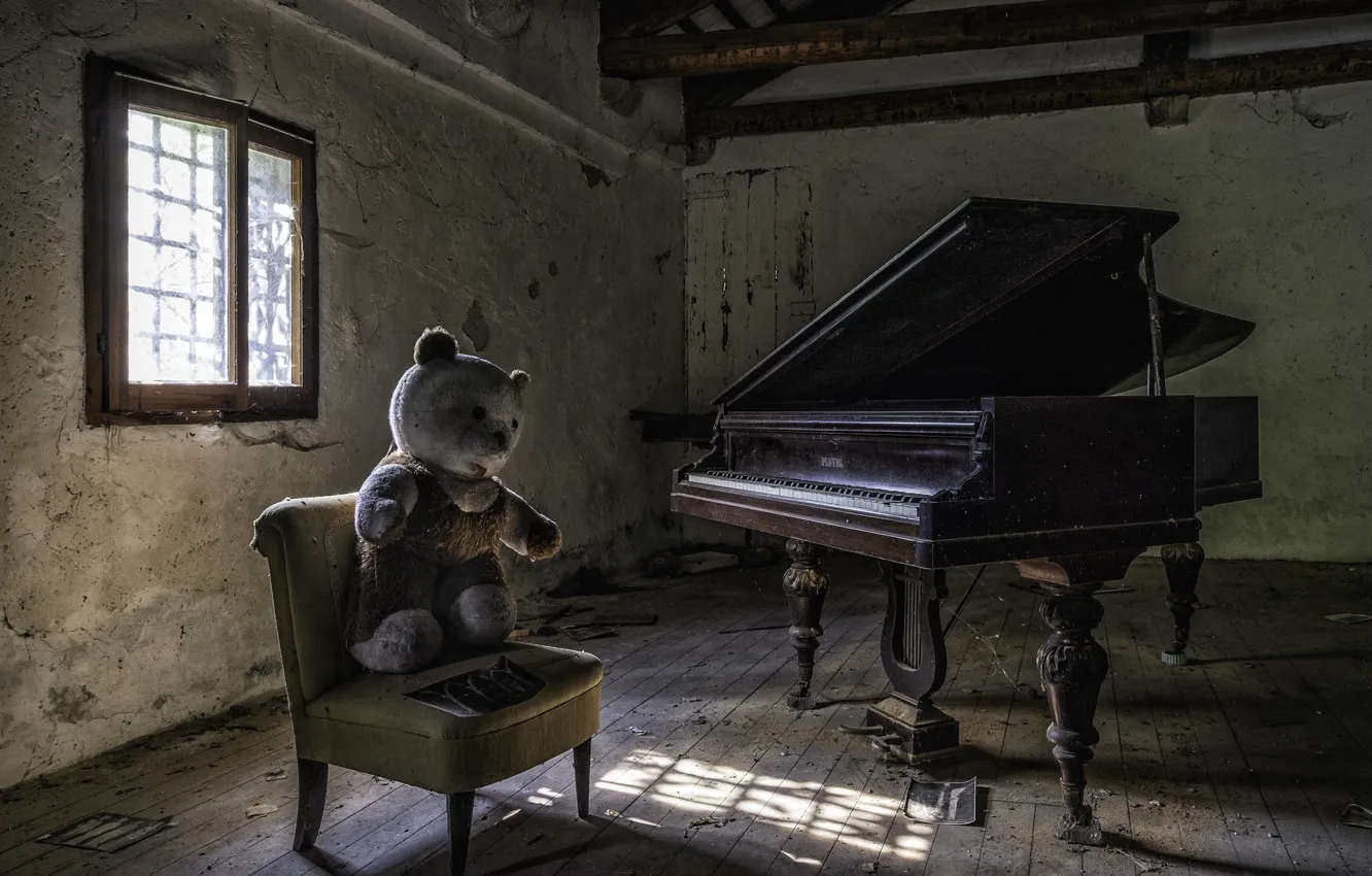 Фото обои мишка, стул, пианино