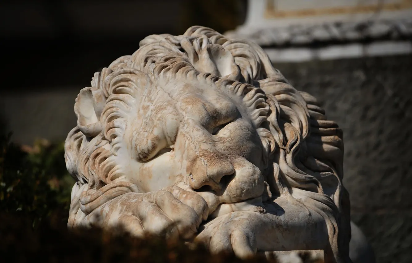 Фото обои лев, скульптура, мрамор, парадный вход