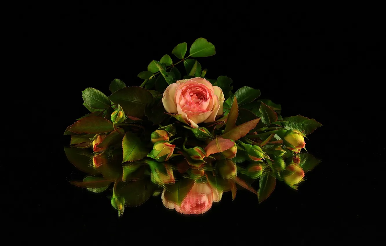 розы на черном столе