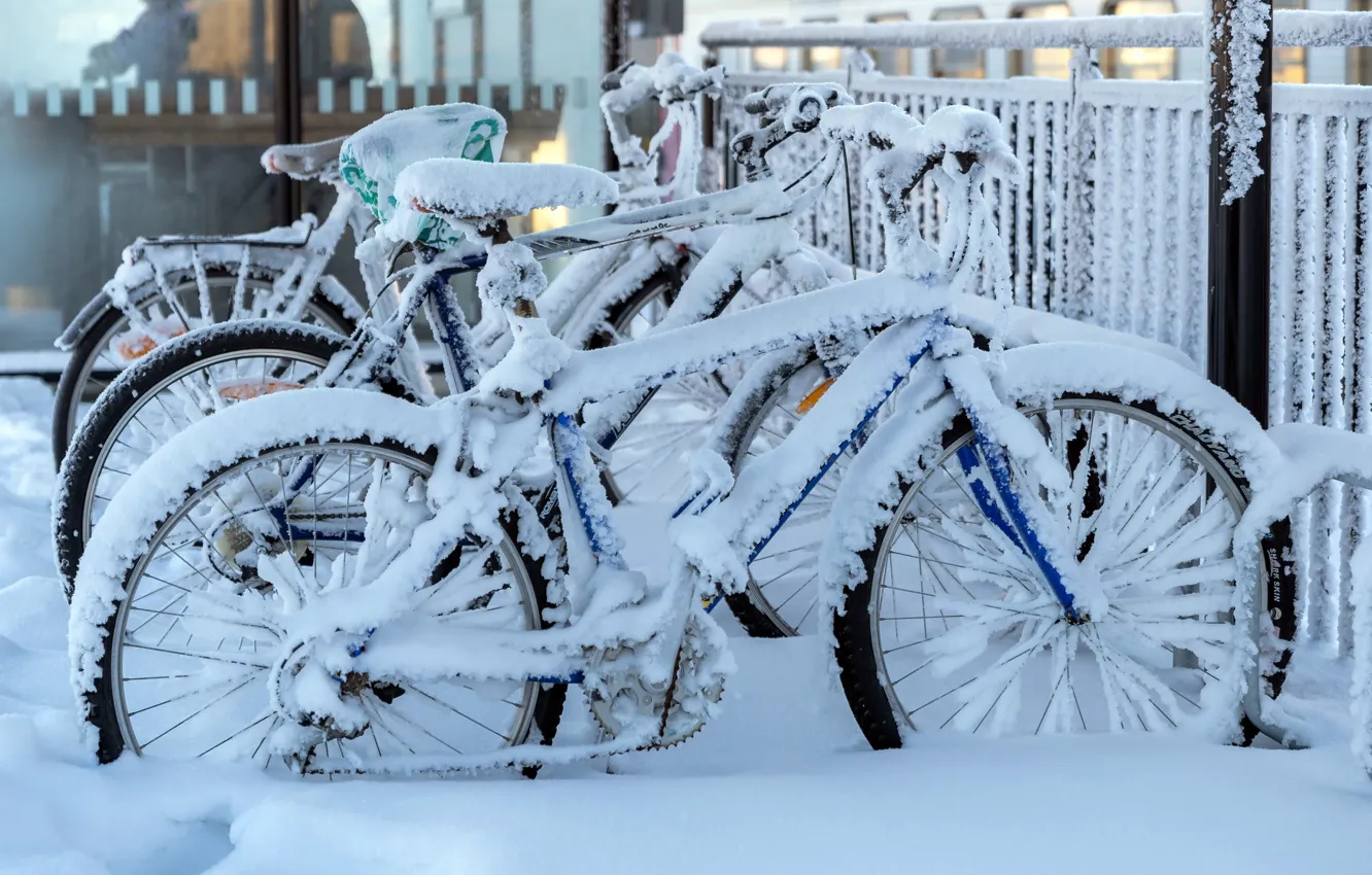 Фото обои снег, город, велосипеды