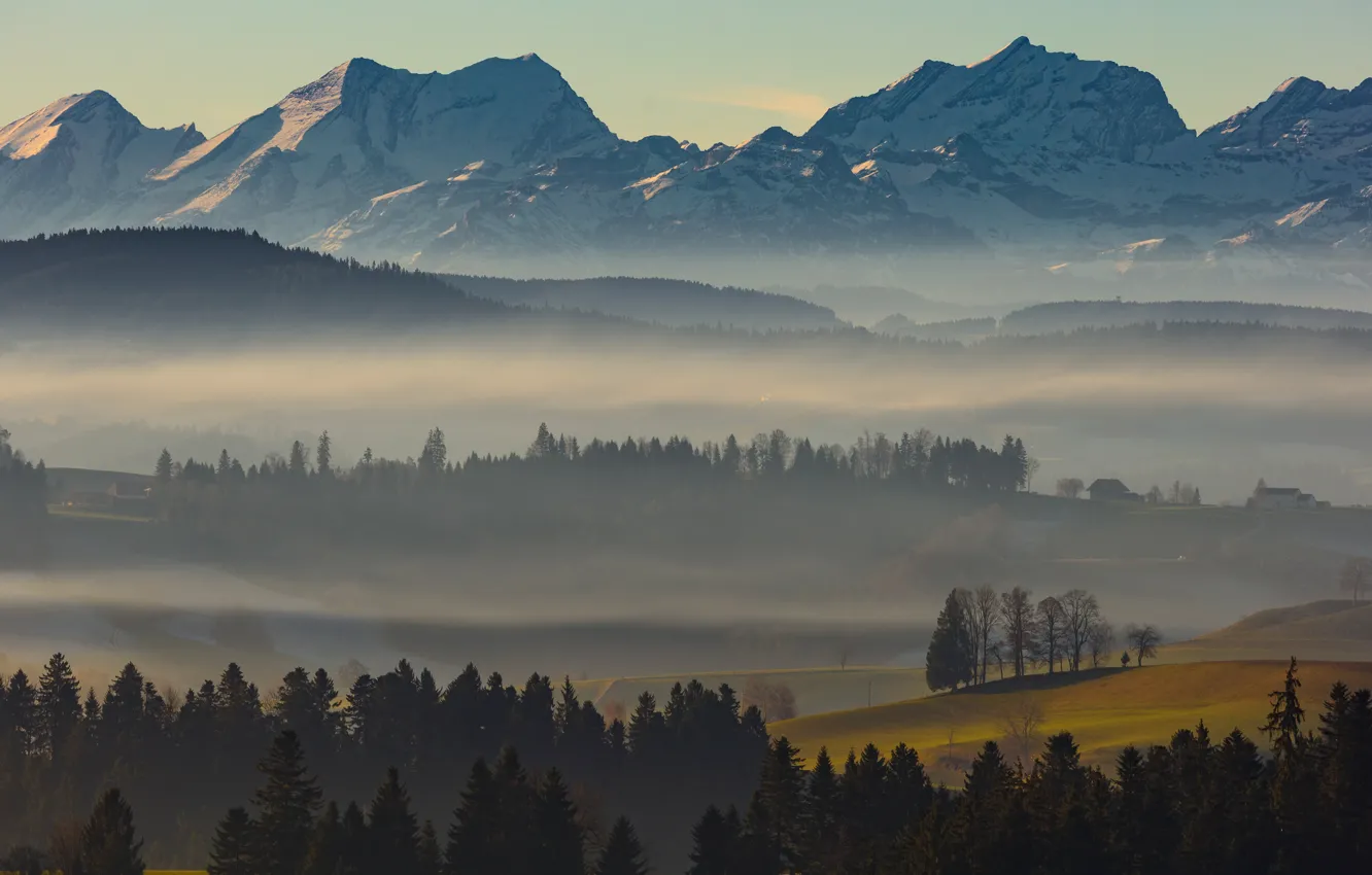 Фото обои осень, лес, небо, снег, деревья, горы, туман, холмы