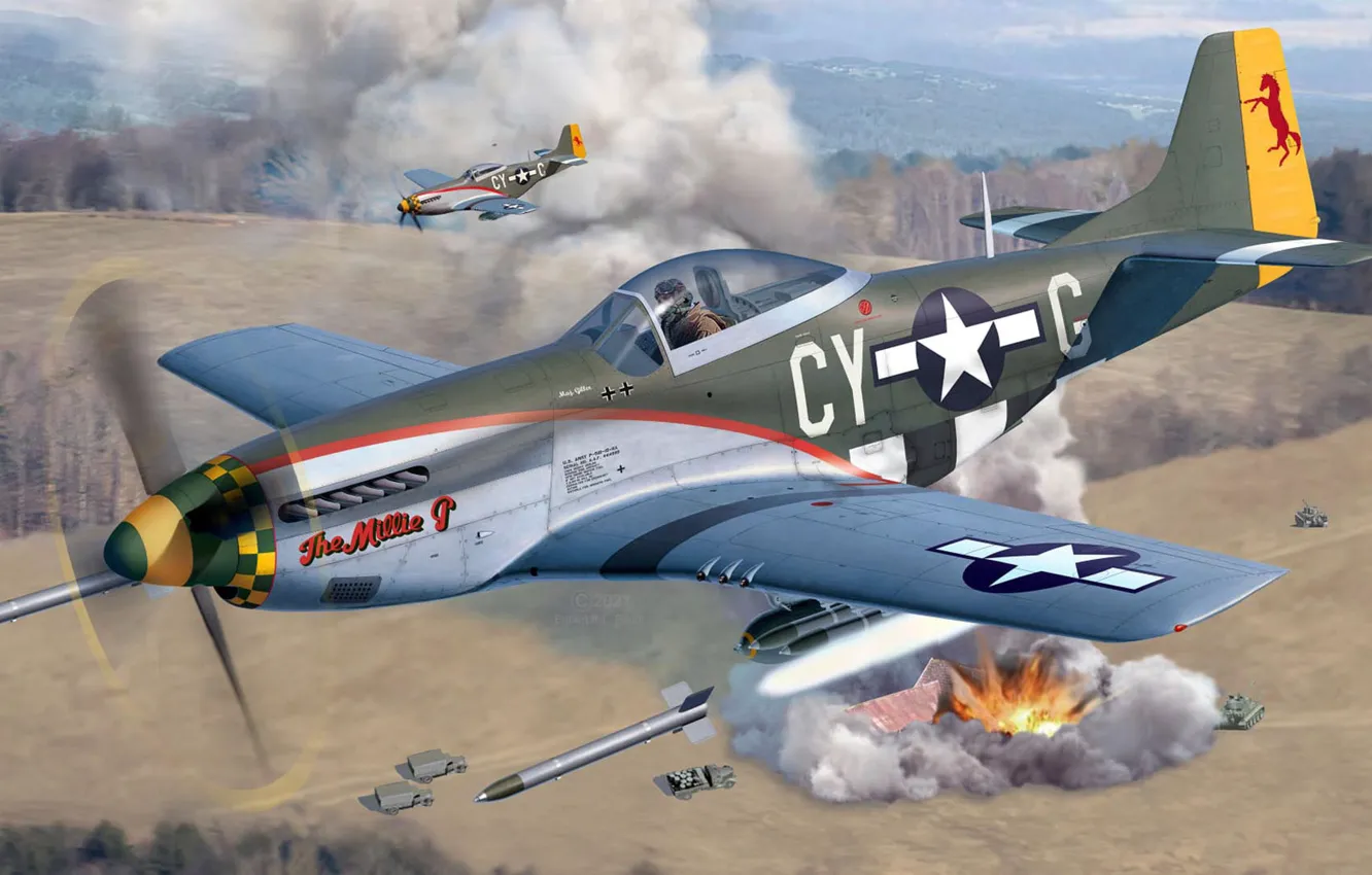 Фото обои истребитель, США, Штурмовик, North American P-51 Mustang, Egbert Friedl, US Airforce, P-51D-15-NA Mustang