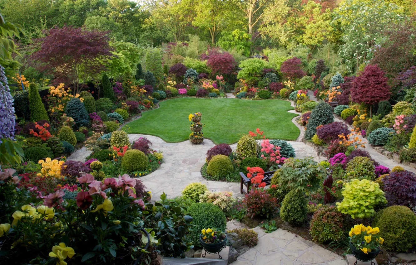 Фото обои wallpaper, nature, park