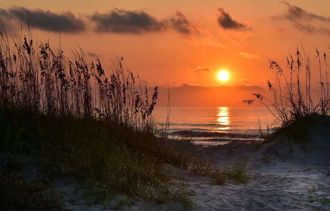 Фото обои море, закат, берег