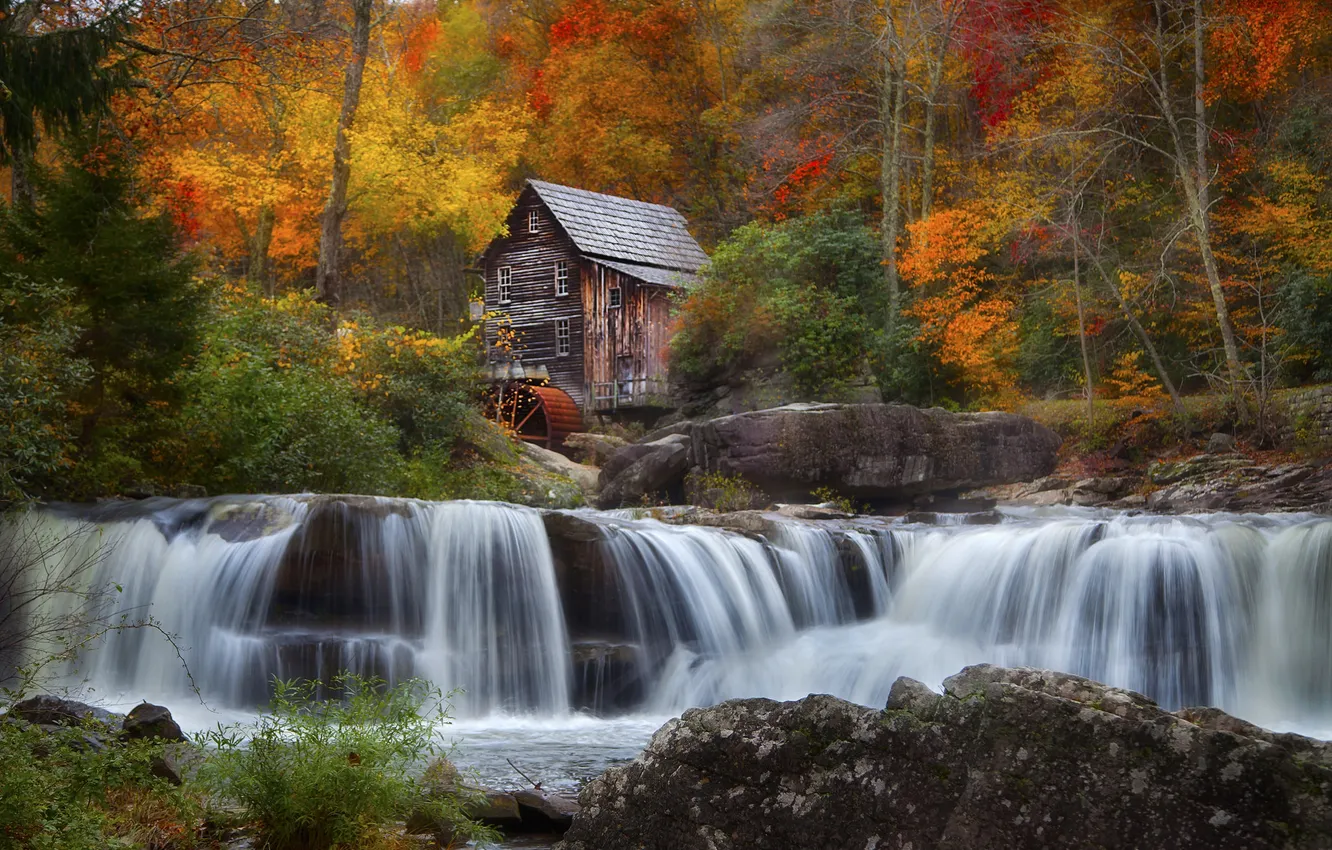 Фото обои осень, лес, деревья, дом, река, колесо, мельница