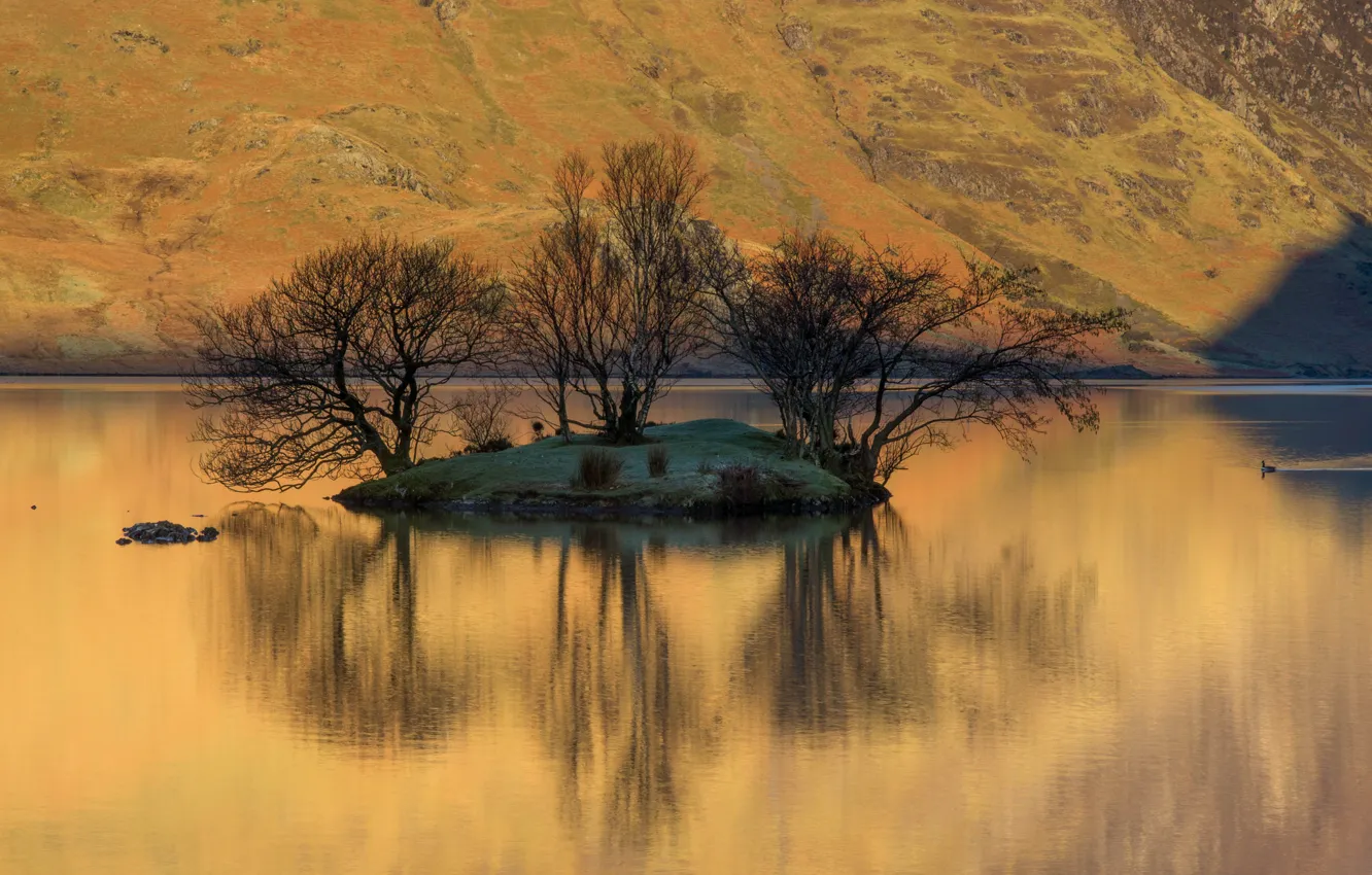 Фото обои деревья, озеро, отражение, гора, склон, островок