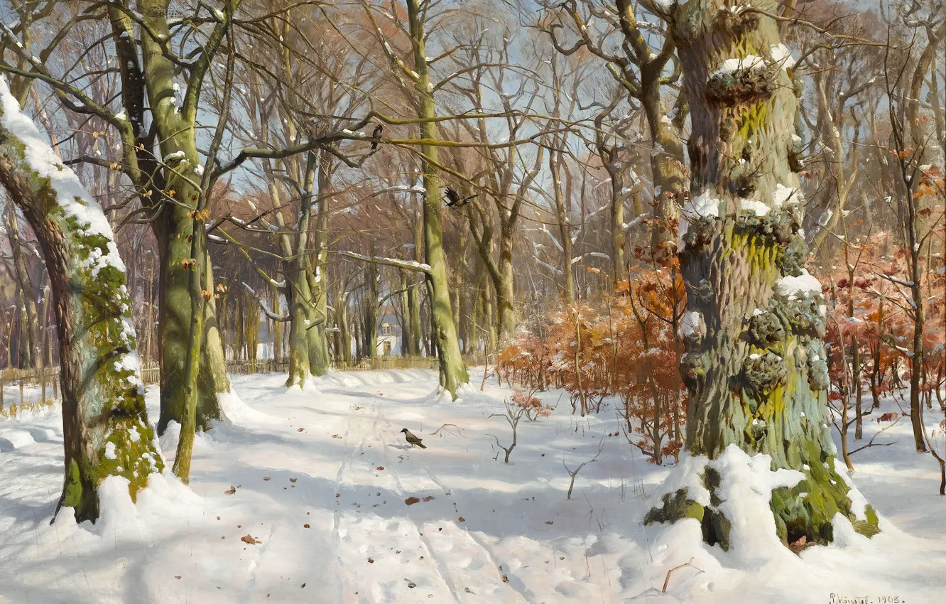 Фото обои зима, свет, снег, деревья, пейзаж, птицы, следы, парк