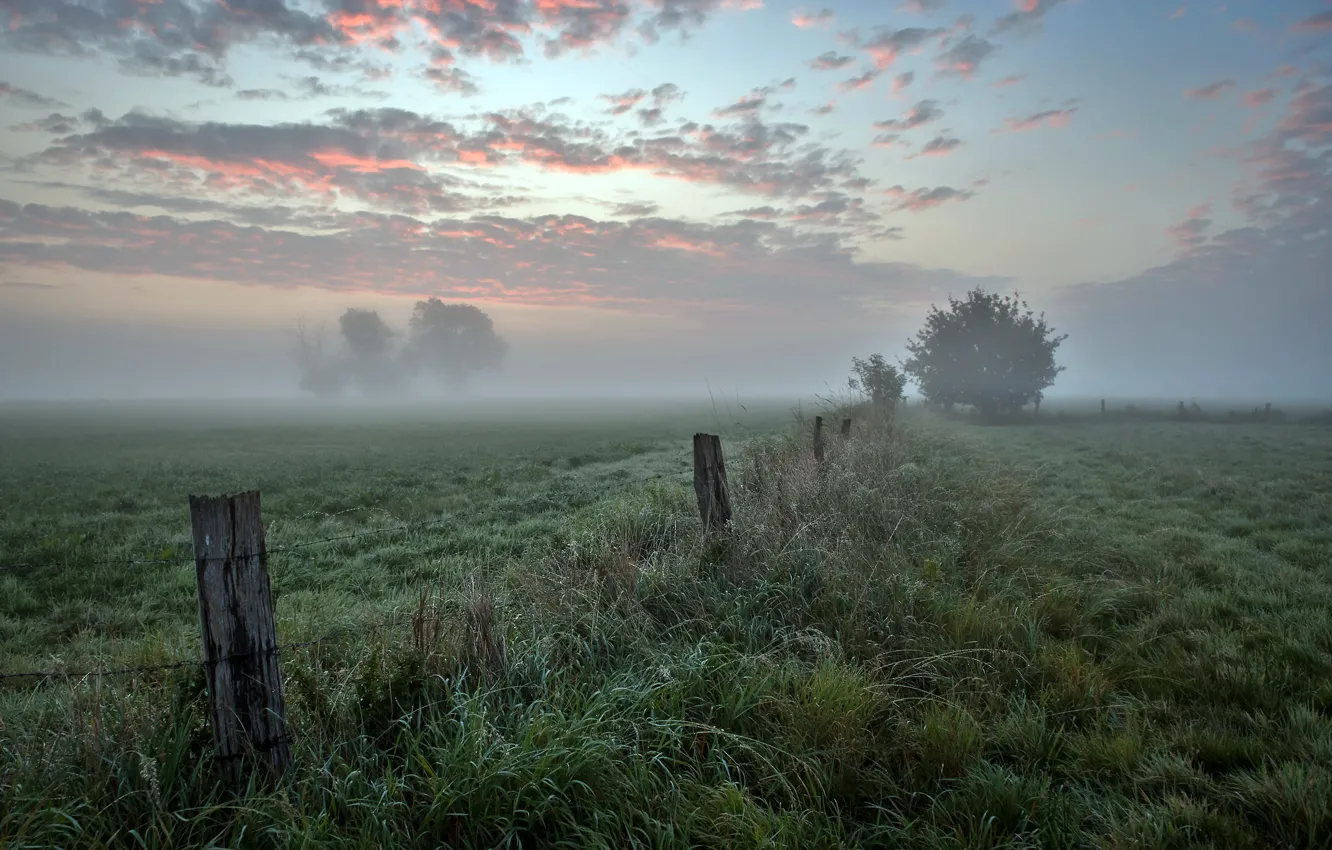 Фото обои поле, осень, туман, забор