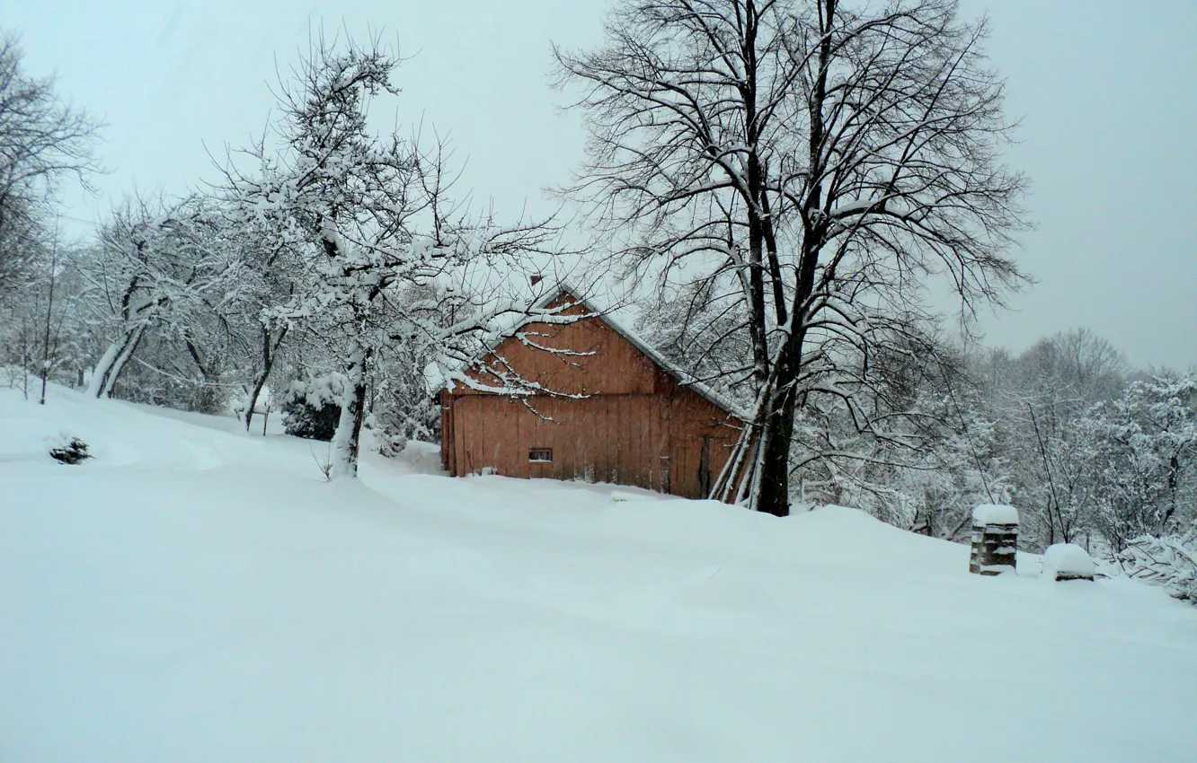 Фото обои снег, Зима, мороз, домик, house, winter, snow, frost